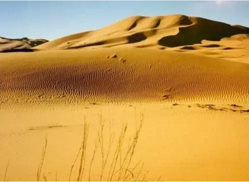 湖北万利官网绿色能源有限公司