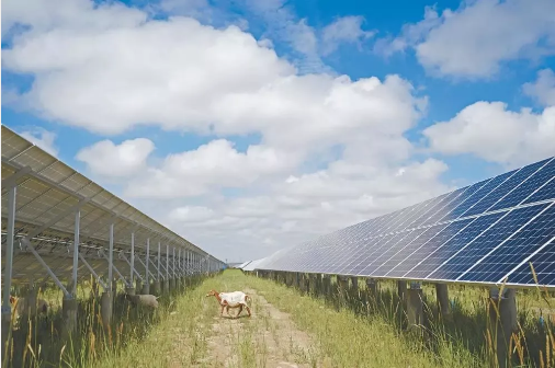 湖北万利官网绿色能源有限公司