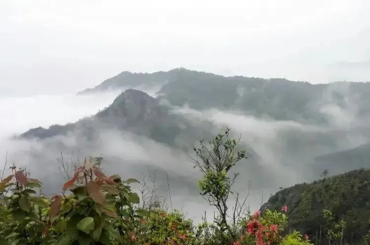 湖北万利官网绿色能源有限公司