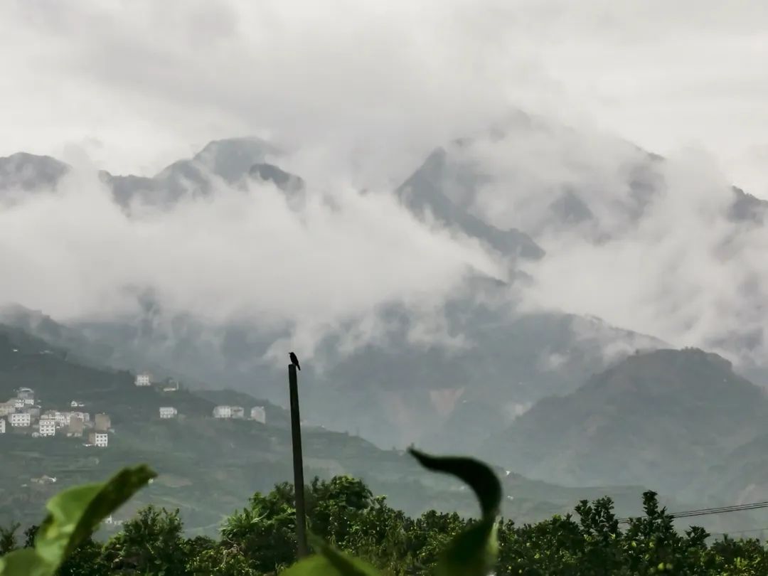 湖北万利官网绿色能源有限公司