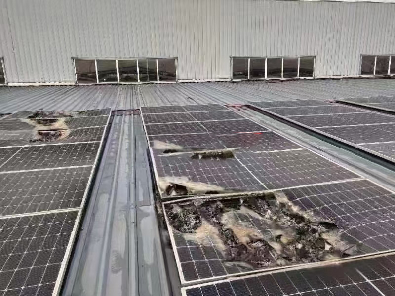 沉磅提醒 ┃ 选装光伏，请果断回绝廉价引诱！切记。∧肟釉俦惶茁罚。。